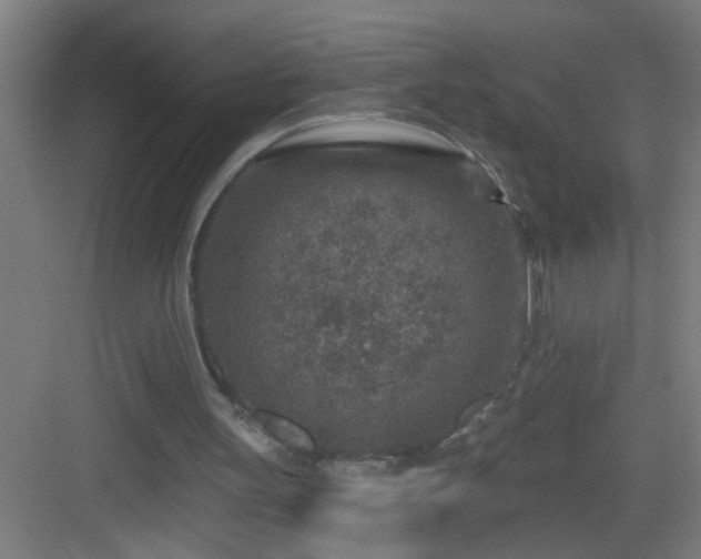 X0000082930147200702081550