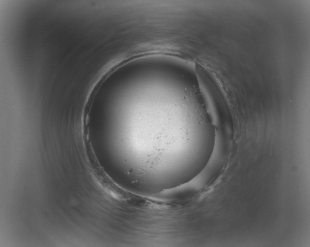 X0000082930148200702081550