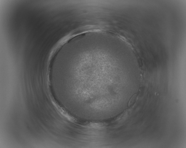 X0000082930149200702081550