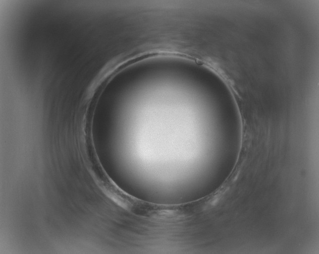 X0000082930151200702081550