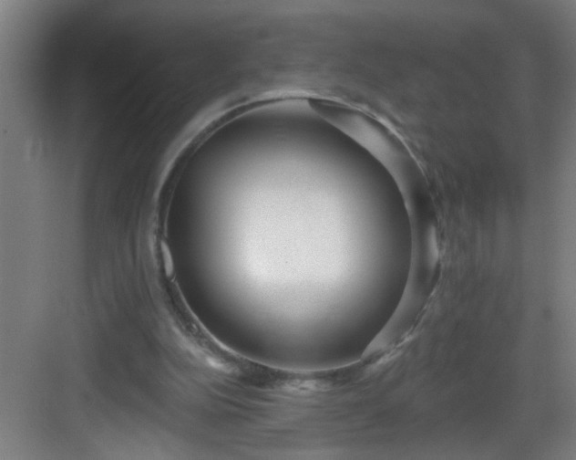 X0000082930152200702081550