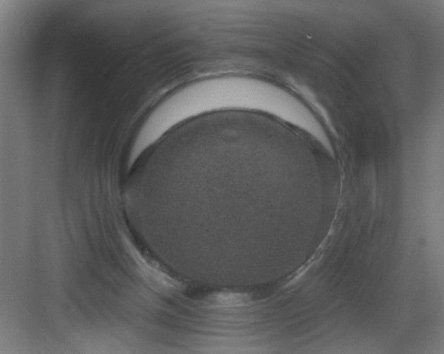 X0000082930154200702081550