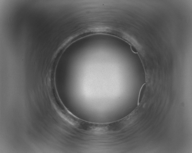 X0000082930155200702081550