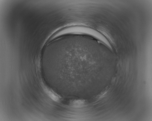 X0000082930156200702081550