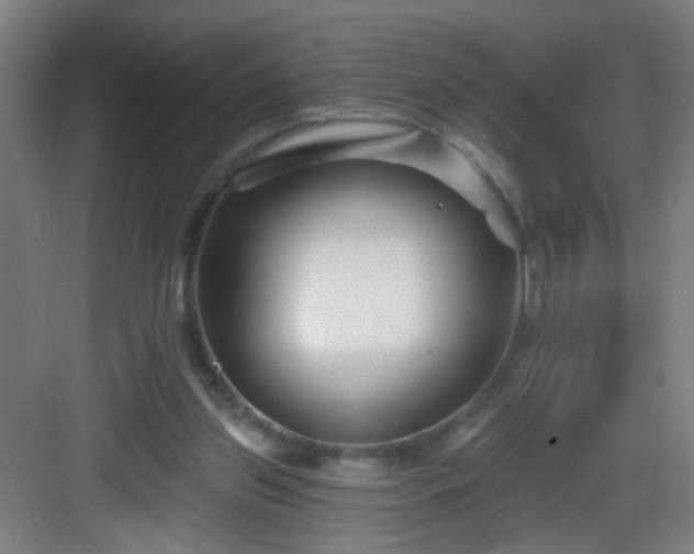 X0000082930157200702081550