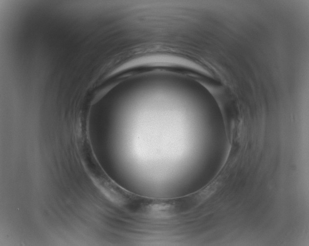 X0000082930158200702081550