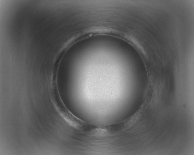 X0000082930159200702081550