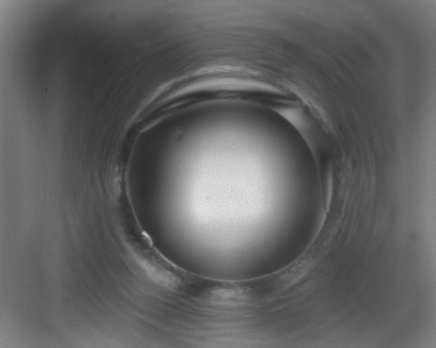 X0000082930160200702081550