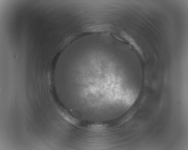 X0000082930161200702081550