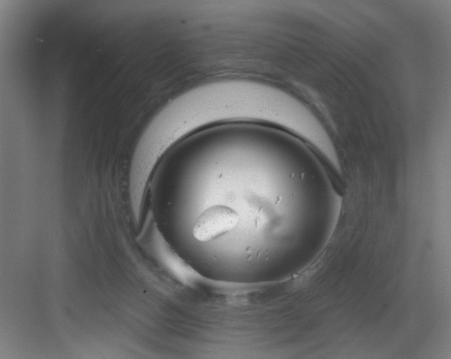 X0000082930162200702081550