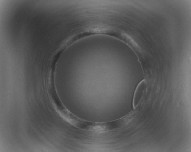 X0000082930163200702081550