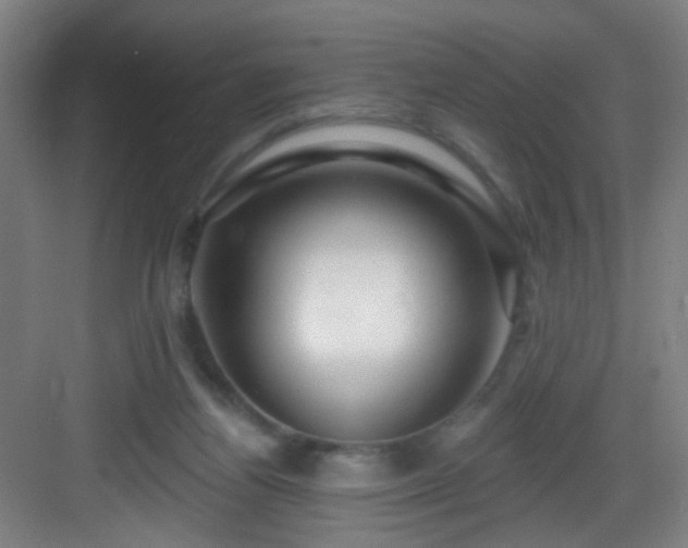 X0000082930164200702081550