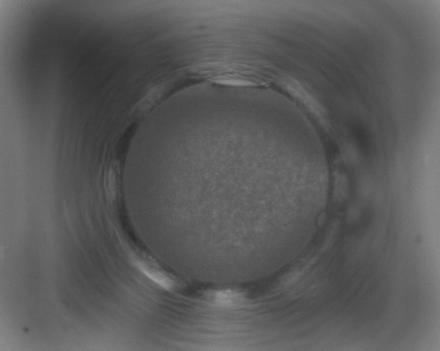 X0000082930165200702081550