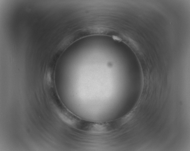 X0000082930166200702081550