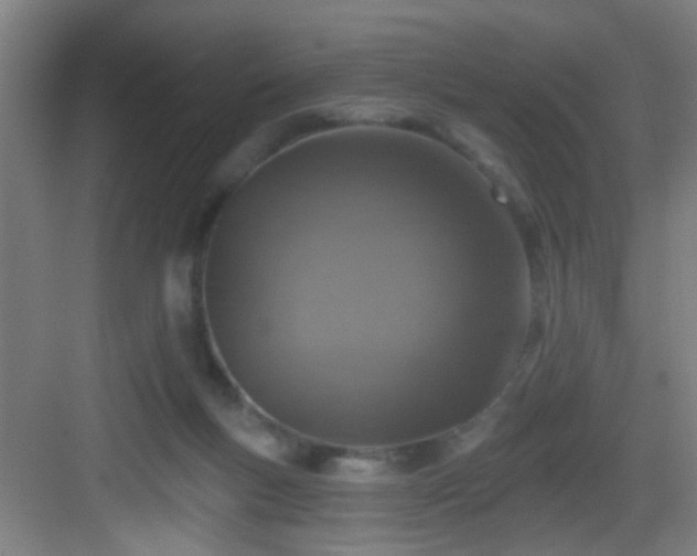 X0000082930167200702081550