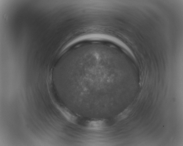 X0000082930168200702081550