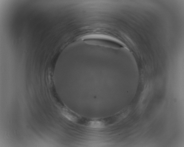 X0000082930169200702081550