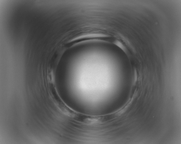 X0000082930170200702081550