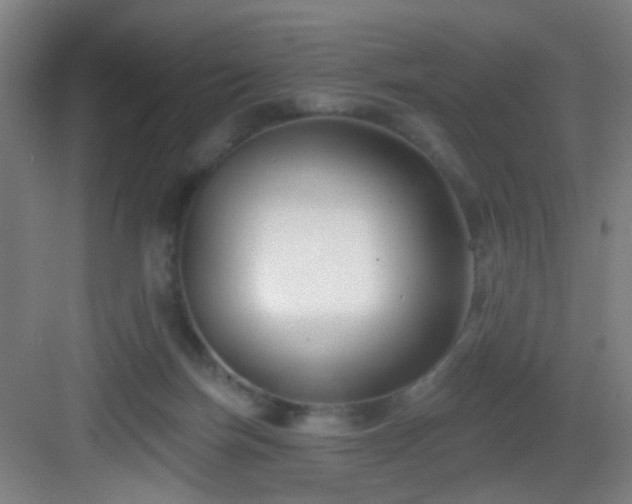 X0000082930171200702081550