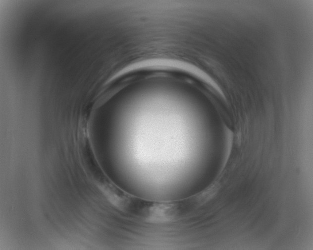 X0000082930172200702081550