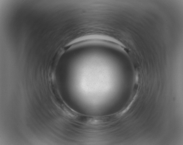 X0000082930174200702081550