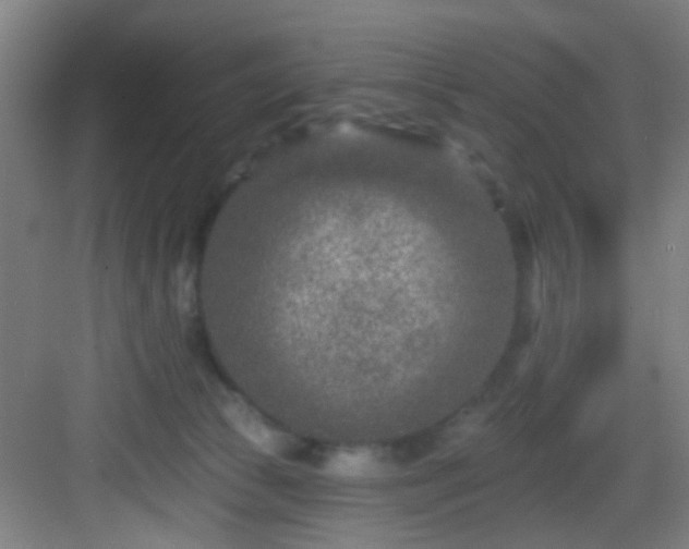 X0000082930177200702081550