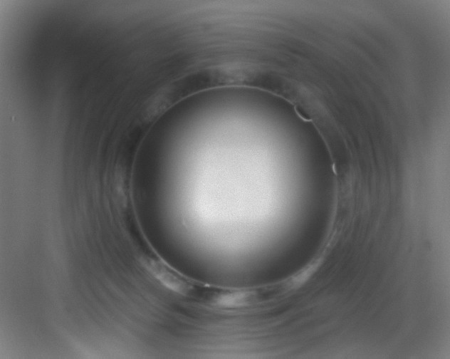 X0000082930178200702081550