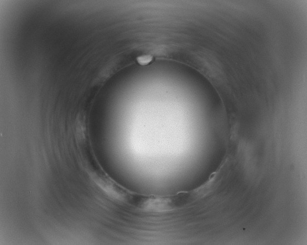 X0000082930179200702081550