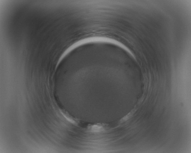 X0000082930180200702081550