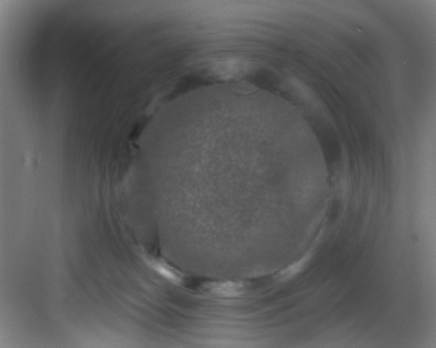 X0000082930182200702081550