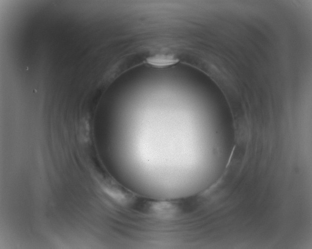 X0000082930183200702081550