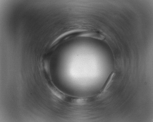 X0000082930184200702081550