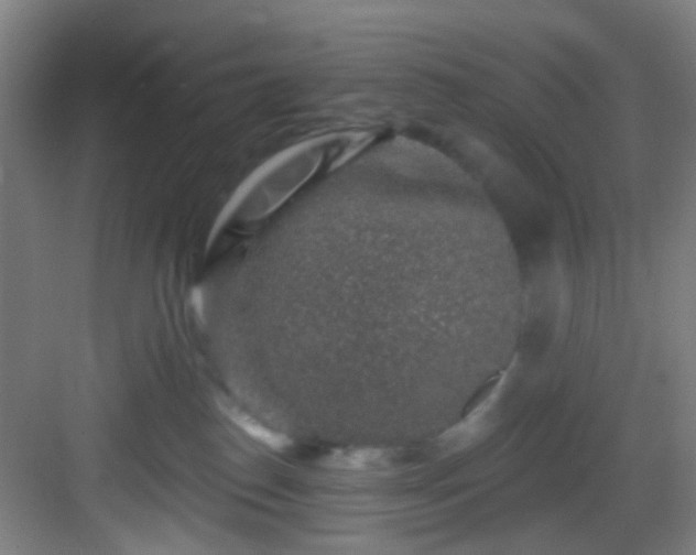 X0000082930186200702081550