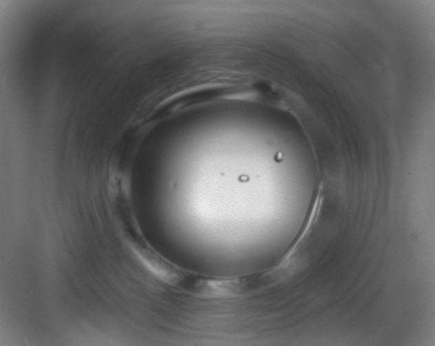 X0000082930188200702081550