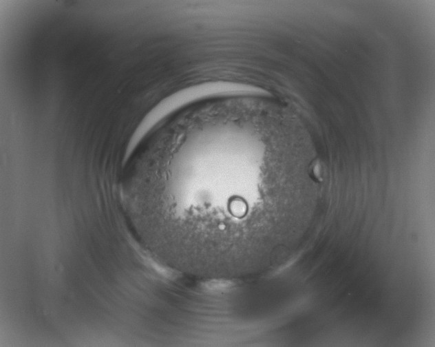 X0000082930189200702081550