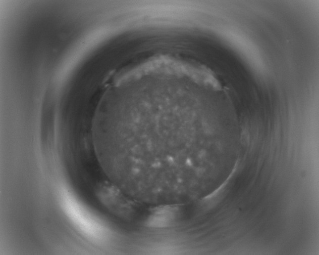 X0000082930191200702081550