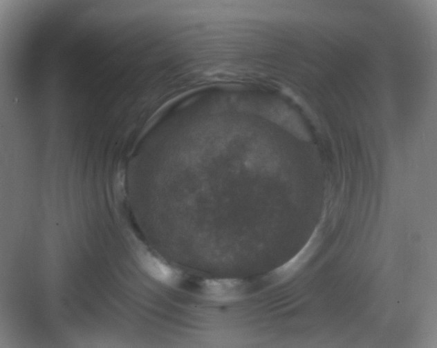 X0000082930192200702081551