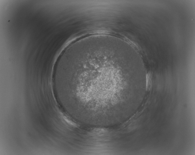 X0000082930195200702081550