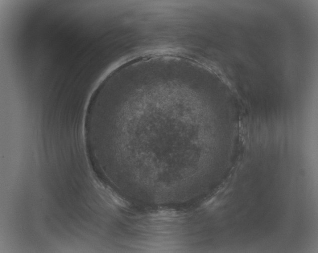 X0000082930196200702081550