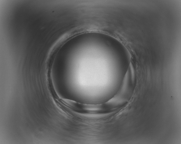 X0000082930197200702081550