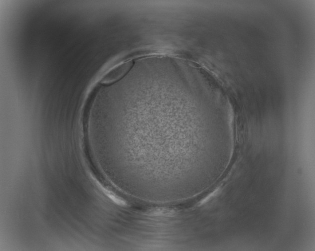 X0000082930198200702081550