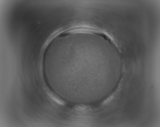 X0000082930199200702081550