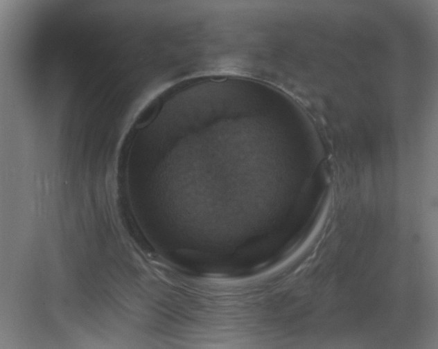 X0000082930200200702081550