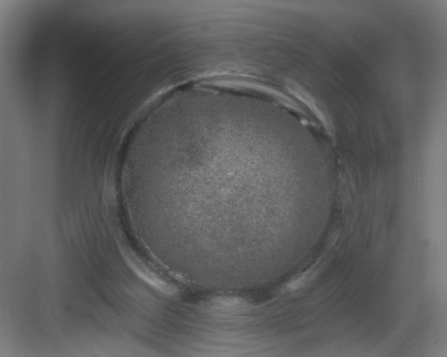 X0000082930203200702081550