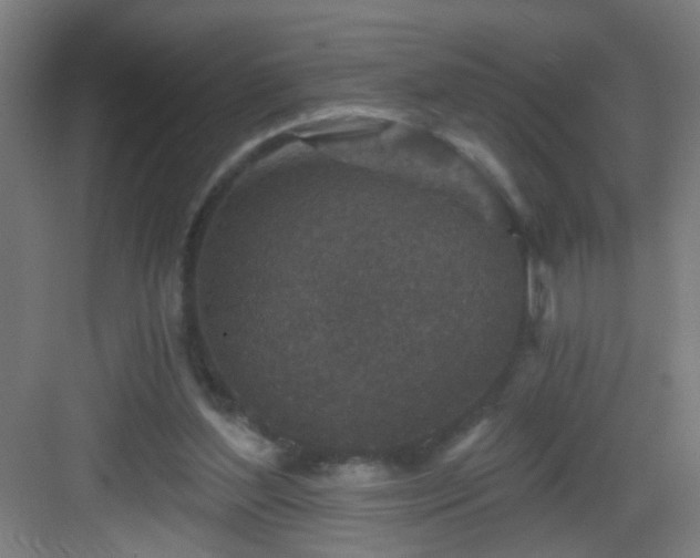 X0000082930204200702081550