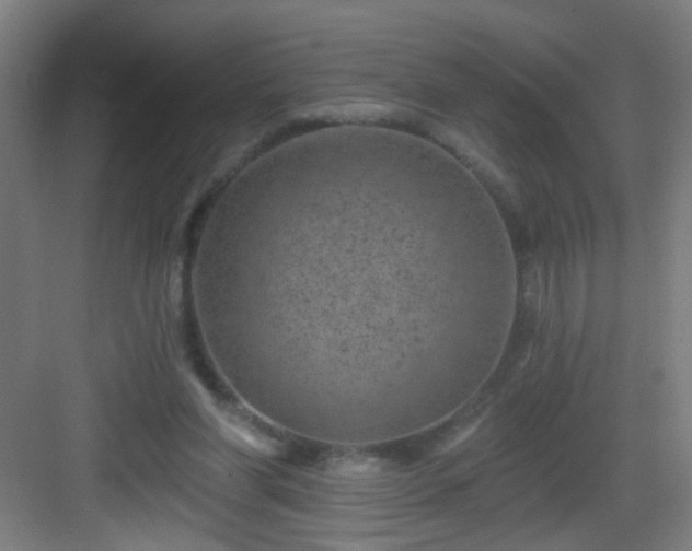 X0000082930206200702081549