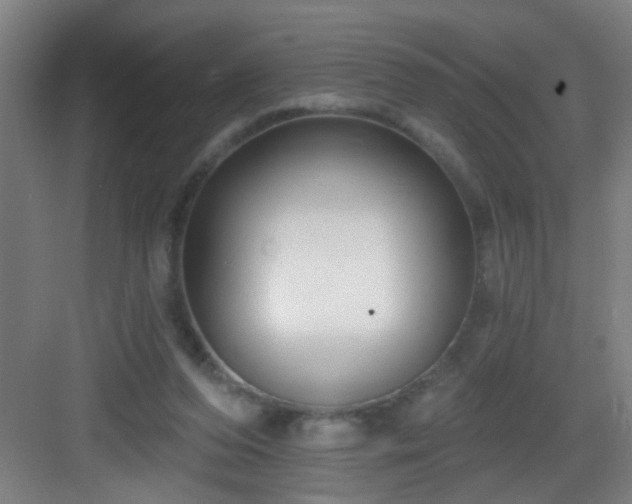 X0000082930208200702081549