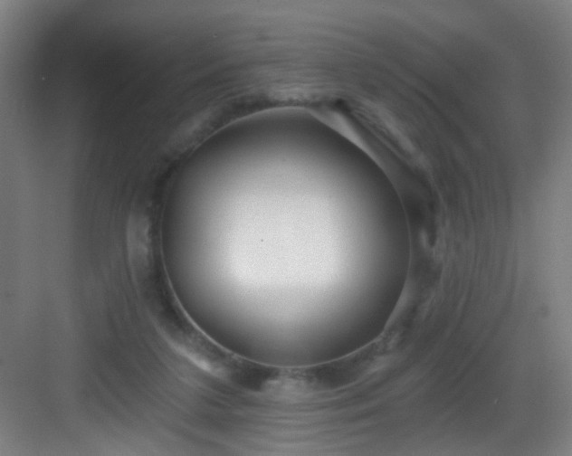 X0000082930211200702081549