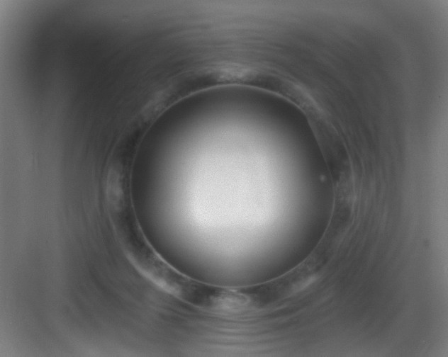 X0000082930215200702081549