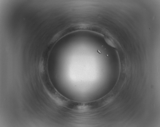 X0000082930216200702081549